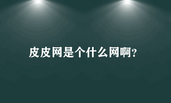 皮皮网是个什么网啊？