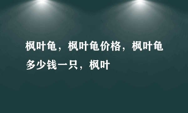 枫叶龟，枫叶龟价格，枫叶龟多少钱一只，枫叶