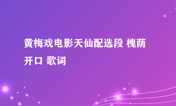 黄梅戏电影天仙配选段 槐荫开口 歌词