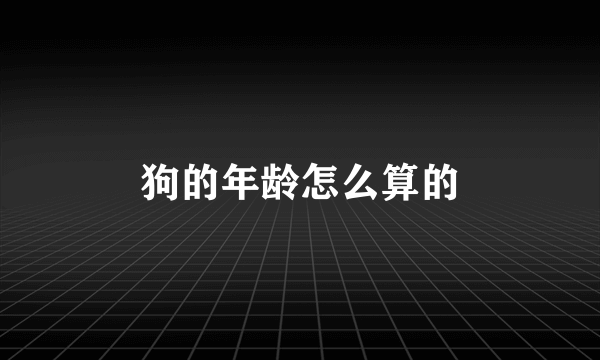 狗的年龄怎么算的