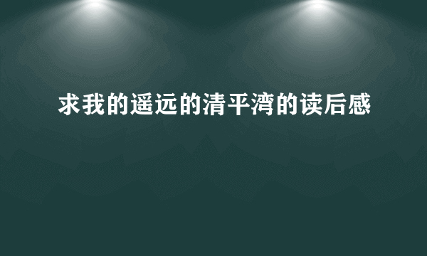 求我的遥远的清平湾的读后感