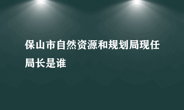 保山市自然资源和规划局现任局长是谁