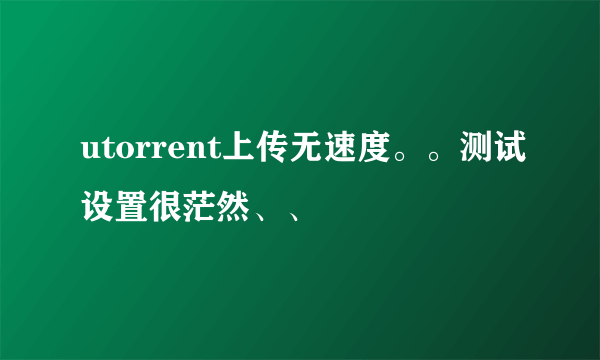 utorrent上传无速度。。测试设置很茫然、、