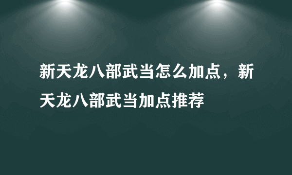 新天龙八部武当怎么加点，新天龙八部武当加点推荐