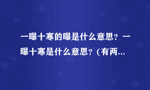 一曝十寒的曝是什么意思？一曝十寒是什么意思？(有两个问题)