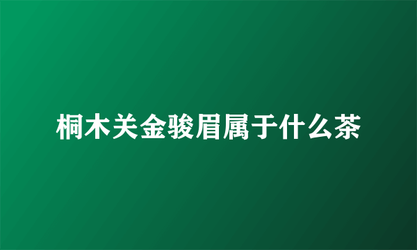 桐木关金骏眉属于什么茶