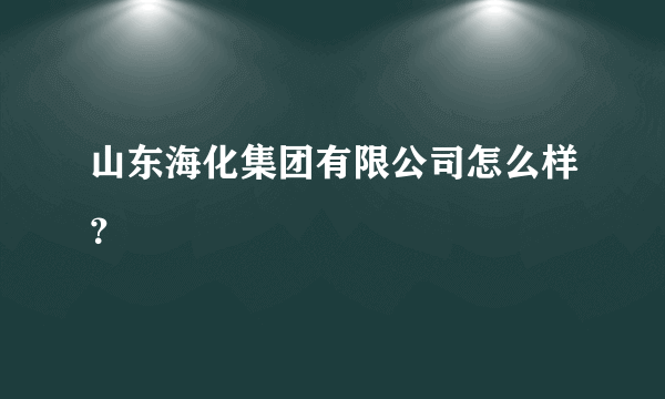 山东海化集团有限公司怎么样？