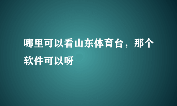 哪里可以看山东体育台，那个软件可以呀