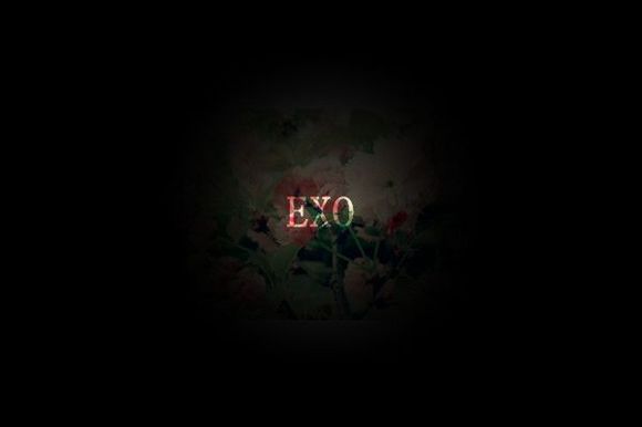 exo高清图片