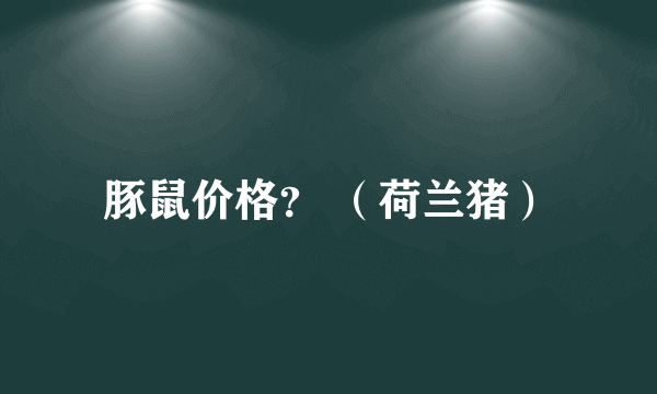 豚鼠价格？ （荷兰猪）