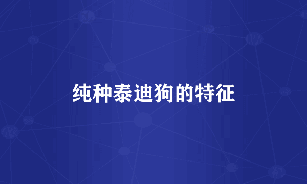 纯种泰迪狗的特征