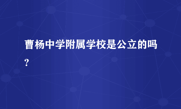 曹杨中学附属学校是公立的吗?