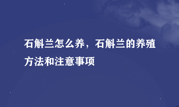 石斛兰怎么养，石斛兰的养殖方法和注意事项
