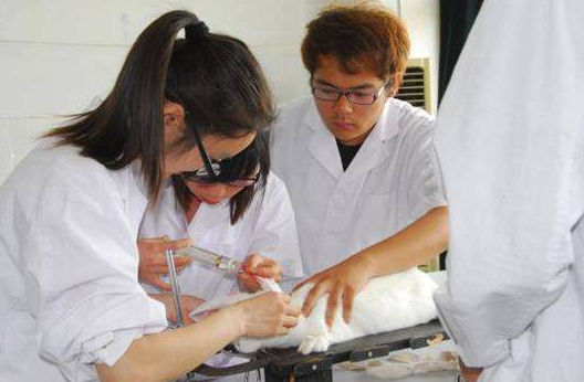 医学类专业技术职务任职资格是指什么？