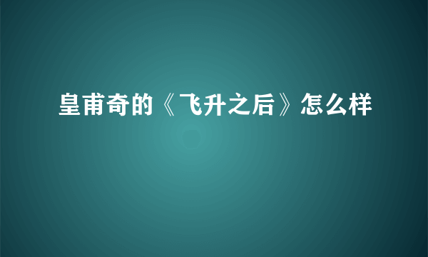 皇甫奇的《飞升之后》怎么样