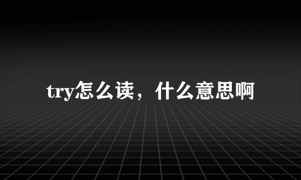 try怎么读，什么意思啊