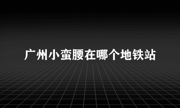 广州小蛮腰在哪个地铁站