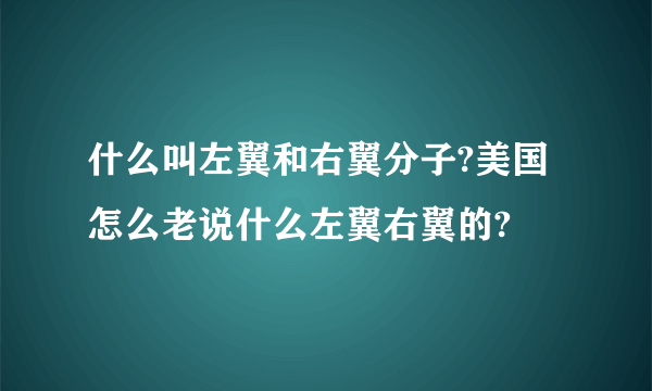 什么叫左翼和右翼分子?美国怎么老说什么左翼右翼的?