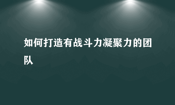 如何打造有战斗力凝聚力的团队