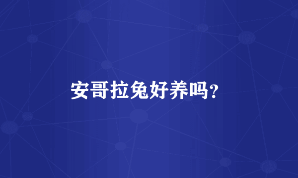 安哥拉兔好养吗？