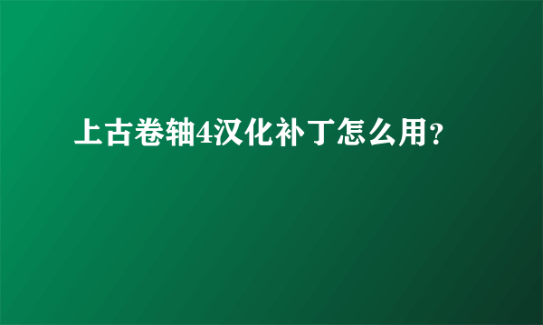 上古卷轴4汉化补丁怎么用？