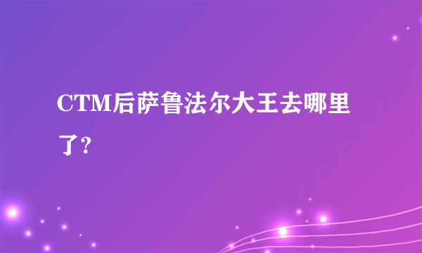 CTM后萨鲁法尔大王去哪里了?