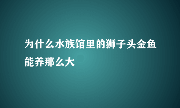 为什么水族馆里的狮子头金鱼能养那么大