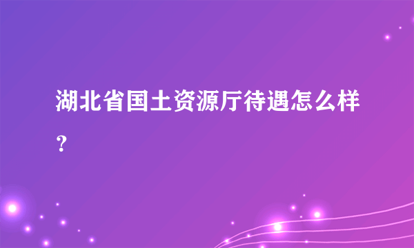 湖北省国土资源厅待遇怎么样？