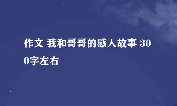 作文 我和哥哥的感人故事 300字左右