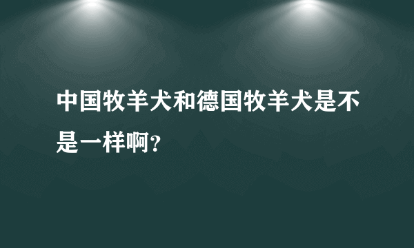 中国牧羊犬和德国牧羊犬是不是一样啊？