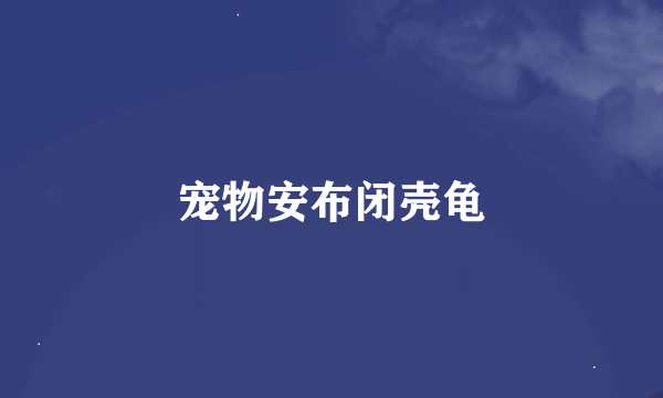 宠物安布闭壳龟