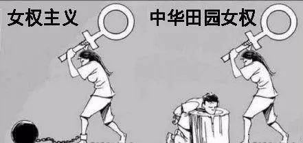 真正的女权和中国田园女权有什么区别？