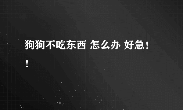 狗狗不吃东西 怎么办 好急！！