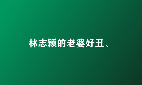 林志颖的老婆好丑、