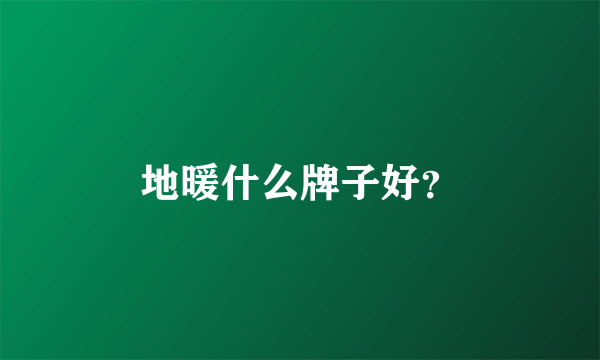地暖什么牌子好？