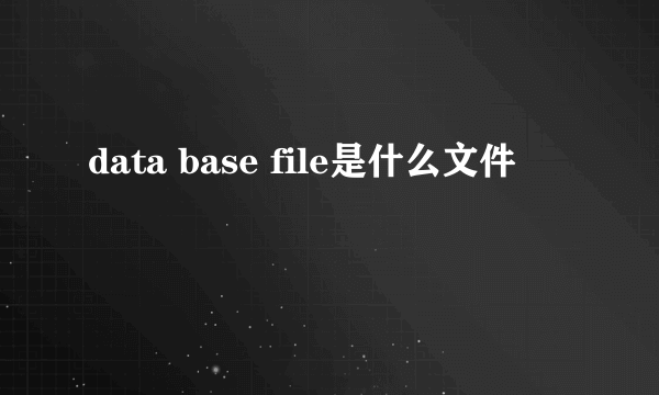 data base file是什么文件