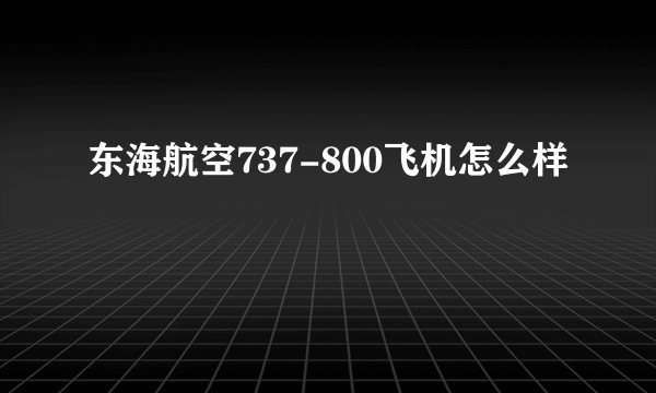 东海航空737-800飞机怎么样