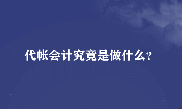 代帐会计究竟是做什么？