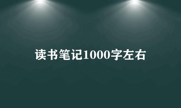 读书笔记1000字左右