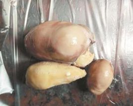 鸡宝是什么东西，鸡宝的价格，鸡宝的药用价值