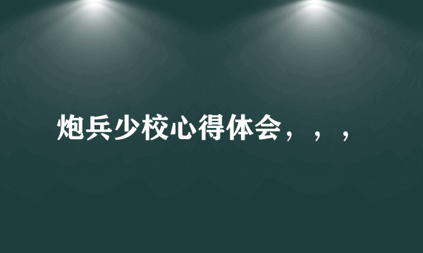炮兵少校心得体会，，，