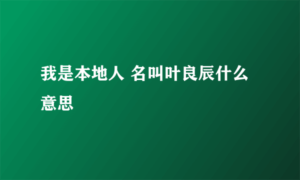 我是本地人 名叫叶良辰什么意思