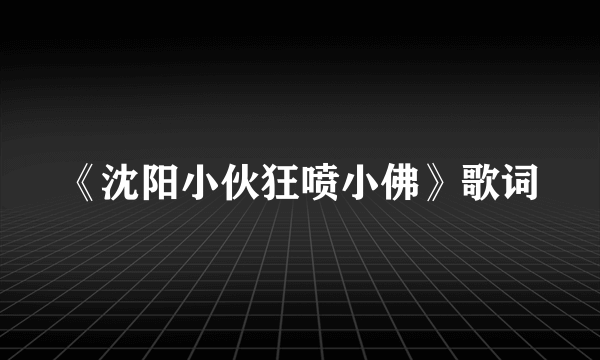 《沈阳小伙狂喷小佛》歌词