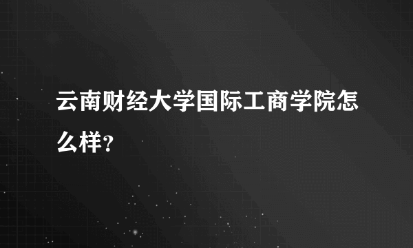 云南财经大学国际工商学院怎么样？