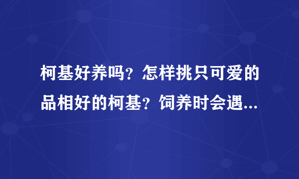 柯基好养吗？怎样挑只可爱的品相好的柯基？饲养时会遇到什么问题？