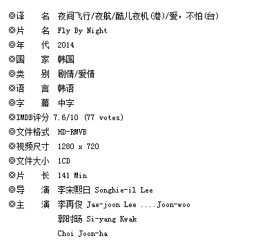 求韩国电影《夜间飞行》完整版中文字幕下载
