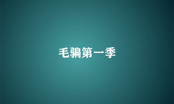 毛骗第一季