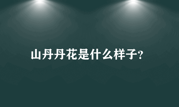 山丹丹花是什么样子？