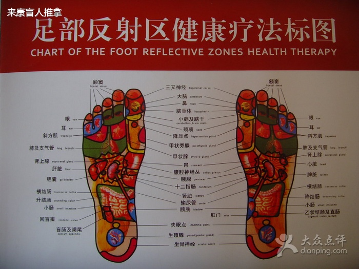 脚底反射区的反射区疗法