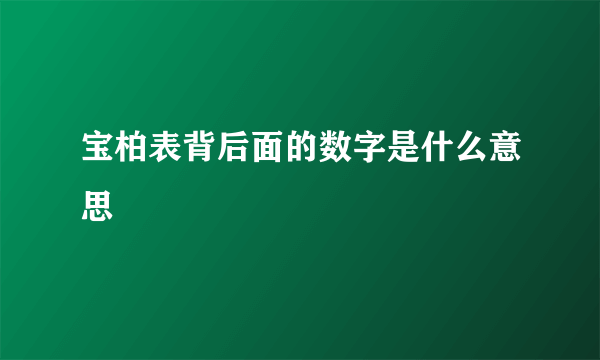 宝柏表背后面的数字是什么意思